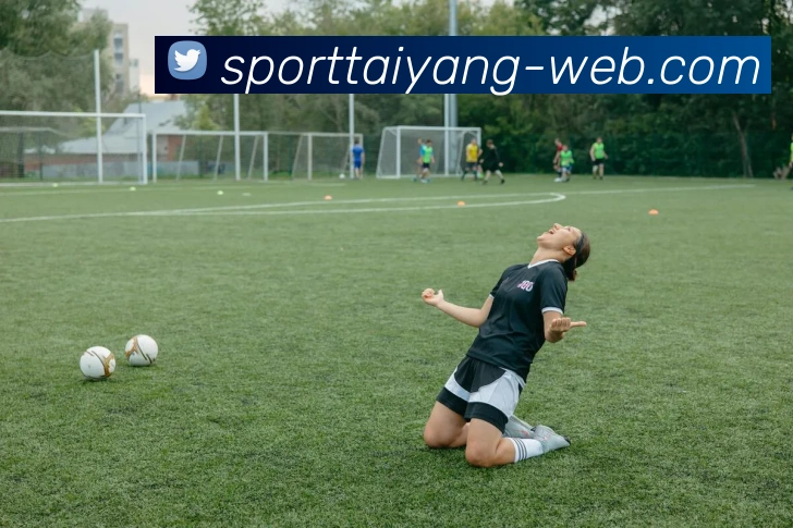 太阳城平台生态图