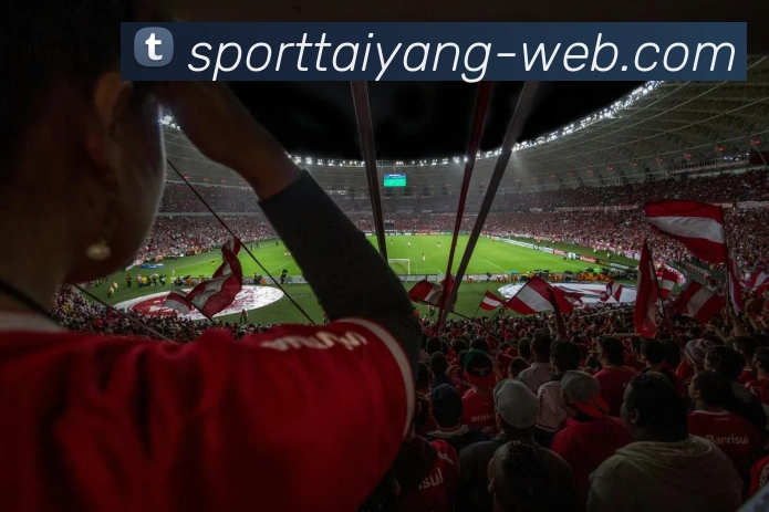 太阳城APP 封面图